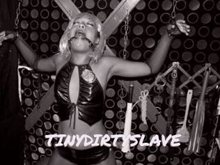 TINYDIRTYSLAVE