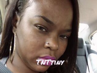 T_N_Ttiny