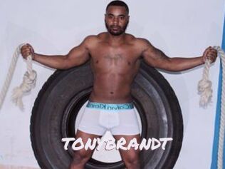 TONYBRANDT