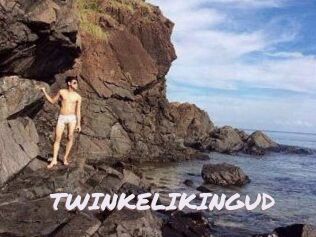 TWINKELIKINGUD