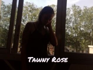 Tawny_Rose