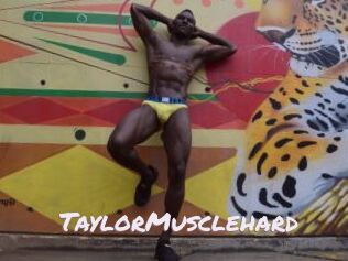 TaylorMusclehard