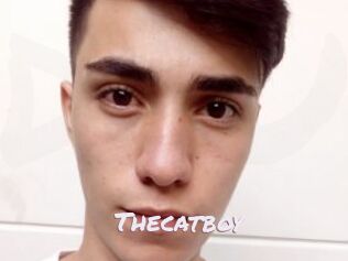 Thecatboy