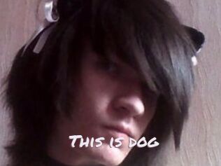 This_is_dog