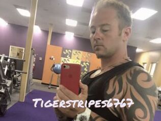 Tigerstripes6767