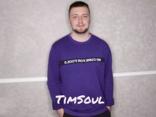 TimSoul