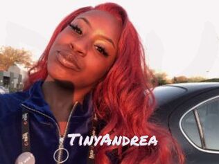 TinyAndrea