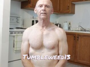 Tumbleweed13