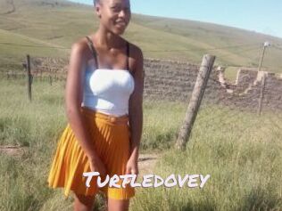 Turtledovey