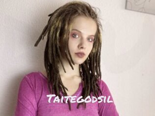 Taitegodsil