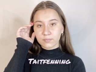 Taitfenning