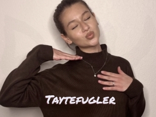 Taytefugler