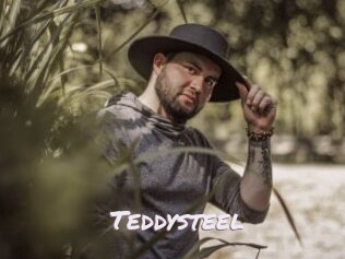 Teddysteel