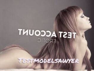 Testmodelsawyer