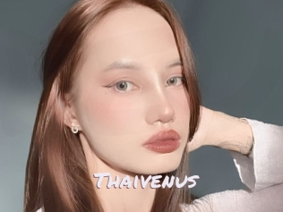 Thaivenus
