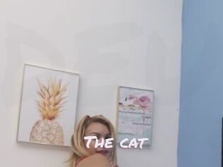 The_cat
