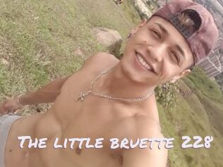 The_little_bruette_228