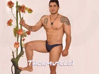 Thormuscle1