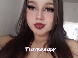 Tinybrandy