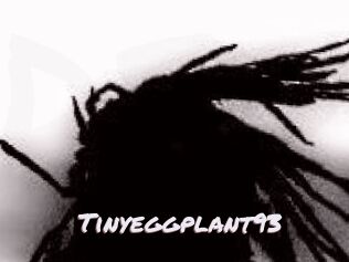 Tinyeggplant93