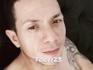 Torvy23
