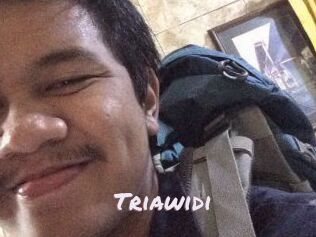 Triawidi