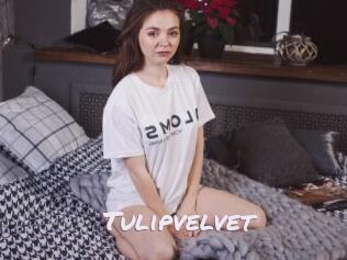 Tulipvelvet