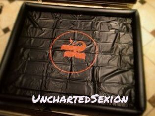 UnchartedSexion