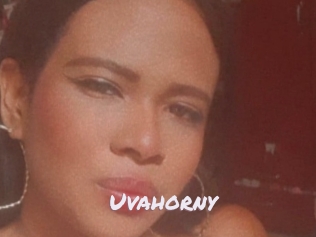Uvahorny