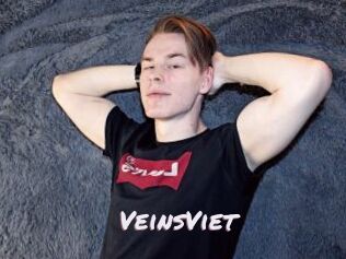 VeinsViet