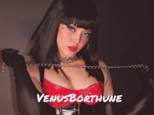 VenusBorthune