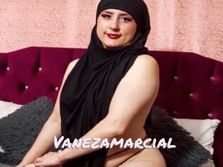 Vanezamarcial