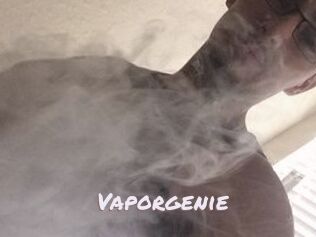 Vapor_genie