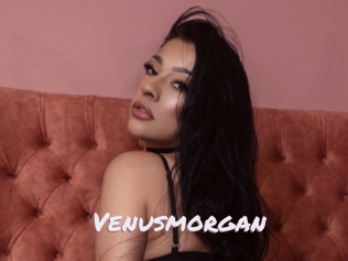 Venusmorgan