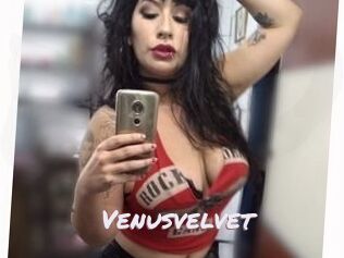 Venusvelvet