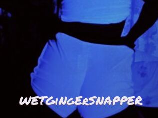 WETGiNgErSNAPPER