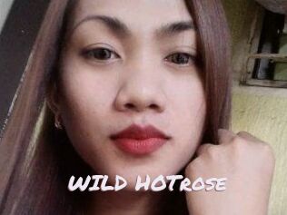 WILD_HOTrose
