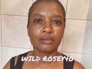 WILD_ROSEY40