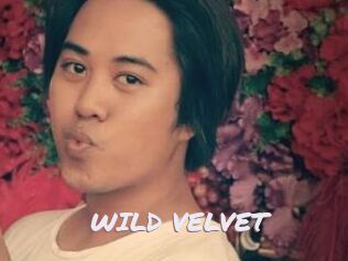 WILD_VELVET