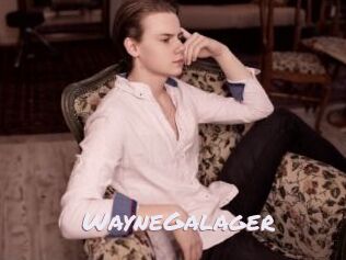 WayneGalager