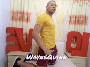 WayneQuinn
