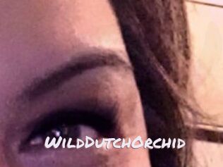WildDutchOrchid