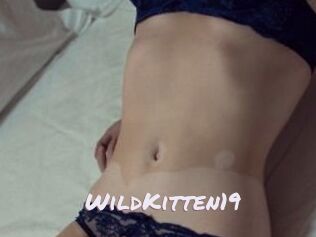 Wild_Kitten19