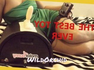 WildOrchid_