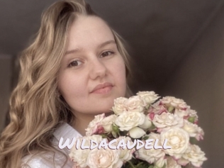Wildacaudell