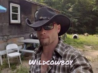 Wildcowboy