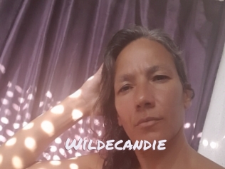 Wildecandie