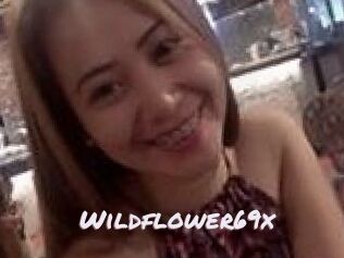 Wildflower69x