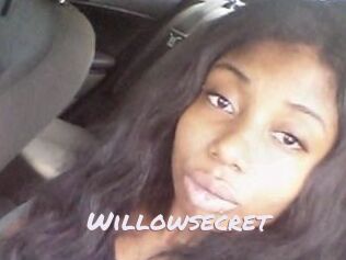 Willow_secret