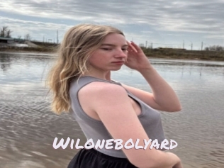 Wilonebolyard